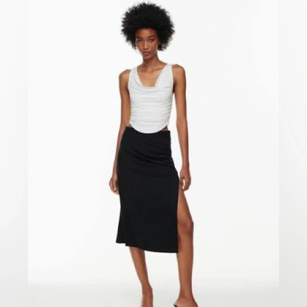ARITZIA Wilfred Vespa Skirt
